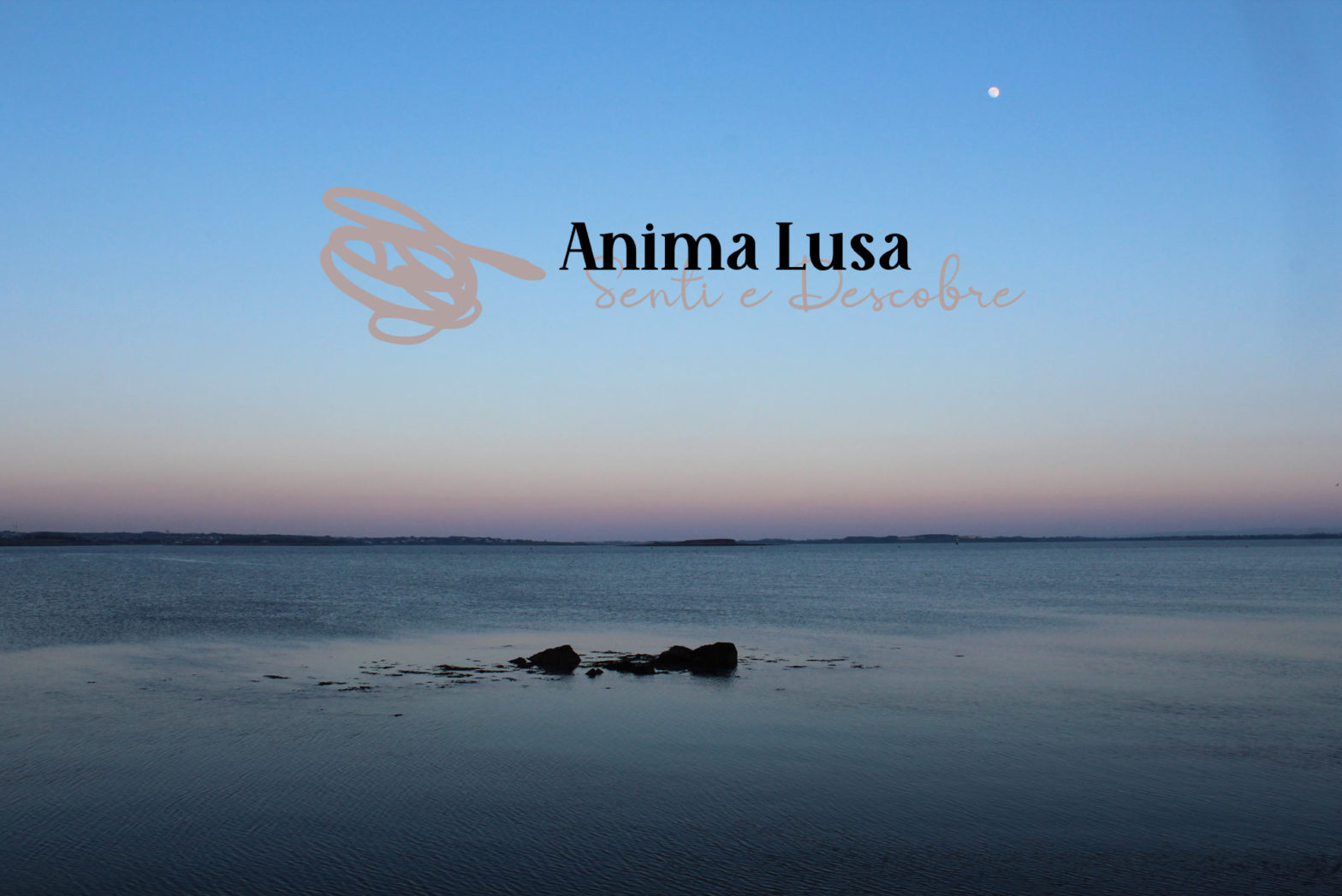 Anima lusa mare